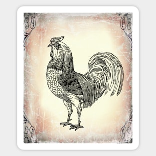 Antique Rooster on the Farm: Farmhouse decor Sticker